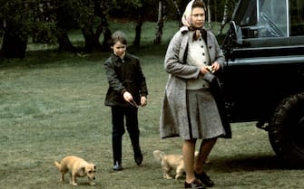 1203980294 BADMINTON, ENGLAND - APRIL 1: Queen Elizabeth ll and Lady Sarah Armstrong-Jones walk with pet corgis, which are a cross between a corgi and a dachshund, at the Badminton Horse Trials in April 1976. (Photo by Anwar Hussein/Getty Images)