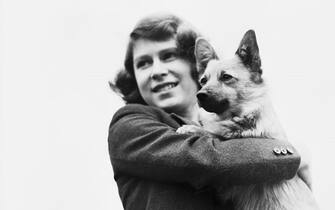 576755859 Princess Elizabeth holding a Corgi dog in the Royal Lodge, Windsor, April 1940. (Photo by Lisa Sheridan/Hulton Archive/Getty Images)