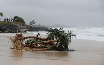 BYRON BAY, AUSTRALIA - DECEMBER 14:  Uprooted tree along the stretch of beach due to heavy rain on December 14, 2020 in Byron Bay, Australia. Byron Bay's beaches face further erosion as wild weather and hazardous swells lash the northern NSW coastlines. (Photo by Regi Varghese/Getty Images)                                        