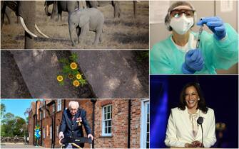 2020 notizie positive, insolite, curiose