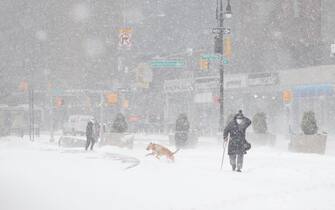 epa08980176 A dogs runs through the snow past people walking along the Union Square area, during a snowstorm in New York, New York, USA, 01 February 2021. According to reports, the moving storm brought about 15 cm (6 inches) of snow already and is expect to bring up to 50 cm (about 20 inches) of snow by Tuesday 02 February. The storm is causing hazardous travel conditions, flight cancellations.  EPA/JASON SZENES