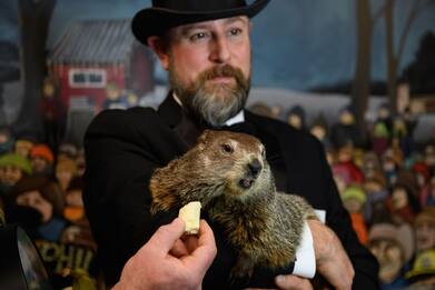 Giorno della marmotta, per Phil altre sei settimane di freddo