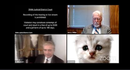 Avvocato sbaglia filtro, appare come gatto in udienza su Zoom. VIDEO