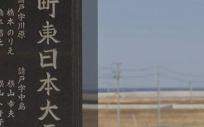 Disastro di Fukushima: nel 2011 il terremoto e lo tsunami. VIDEO