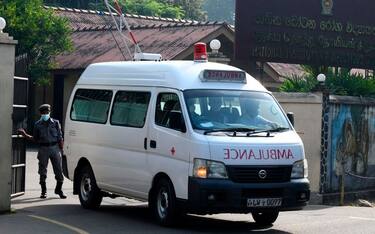 Sri Lanka, bus cade in un precipizio. Almeno 14 morti