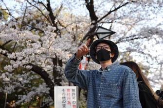 TOKYO, JAPAN - 2021/03/24: A man wearing a face mask as protective measure against Covid-19 looks at blooming Sakura trees inside Ueno Park during sundown.
The Hanami season started nearly two weeks ahead of schedule in Tokyo. Due to Covid-19 restrictions Hanami picnics are prohibited. (Photo by Stanislav Kogiku/SOPA Images/LightRocket via Getty Images)