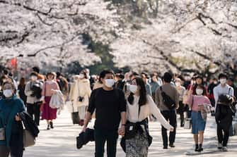 TOKYO, JAPAN - MARCH 26: People wearing face masks walk in front of cherry trees in bloom at Ueno Park on March 26, 2020 in Tokyo, Japan. Tokyo Governor Yuriko Koike held a press conference last night to request citizens to refrain from going outside this weekend for nonessential reasons after 41 cases of new coronavirus infections were confirmed yesterday. She warned that Tokyo, one of the largest and most densely populated cities on earth, could face a lockdown if there is a surge in new coronavirus cases.  (Photo by Tomohiro Ohsumi/Getty Images)