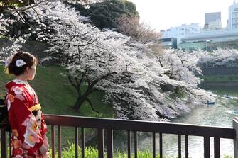 TOKYO, JAPAN - MARCH 27: People go to park to see blooming cherry trees (Japanese cherry and sakura) within an event called Hanami in Japanese (see flowers) amid coronavirus (Covid-19) in Tokyo, Japan on March 27, 20201. (Photo by Ahmet Furkan Mercan/Anadolu Agency via Getty Images)