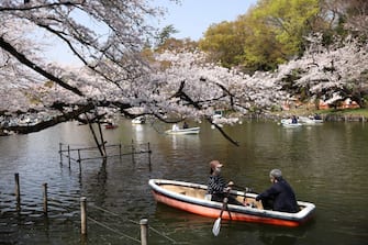 TOKYO, JAPAN - 2021/03/26: Visitors of Inokashira Park enjoy boating during Cherry blossom viewing (Hanami) season marked by Covid-19 pandemic.
Hanami (Japanese custom for viewing the beauty of flowers) picnics have been prohibited inside Inokashira park as an effort to curb the spread of the Covid19 (coronavirus) disease. (Photo by Stanislav Kogiku/SOPA Images/LightRocket via Getty Images)