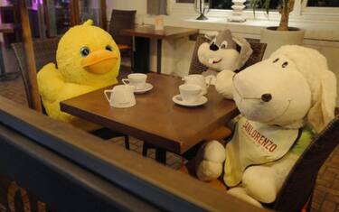 Covid, in Polonia peluche seduti ai tavoli dei ristoranti chiusi