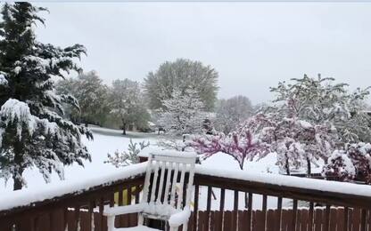 Ohio, inusuale nevicata primaverile. VIDEO