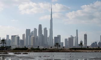 UAE ANIMALS epa08065799 Flamingos at Ras Al Khor Wildlife Sanctuary with the world's tallest building Burj Khalifa in the brakcground, in Dubai, United Arab Emirates, 12 December 2019. EPA/ALI HAIDER