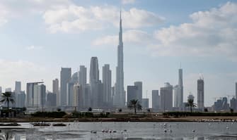 epa08065799 Flamingos at Ras Al Khor Wildlife Sanctuary with the world's tallest building Burj Khalifa in the brakcground, in Dubai, United Arab Emirates, 12 December 2019.  EPA/ALI HAIDER