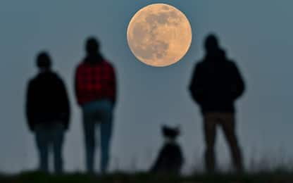 Lo spettacolo della Superluna, la prima del 2021. FOTO