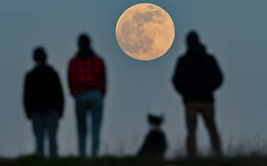 dpatop - 26 April 2021, Brandenburg, Sieversdorf: People stand on a hill and watch the rising moon. The waxing moon is 99.7 percent visible that evening. On April 27, 2021, a so-called "supermoon" occurs. Then the distance between the moon and the earth is smaller than usual. Photo: Patrick Pleul/dpa-Zentralbild/dpa