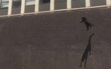 Chicago, gatto salta dal quinto piano di un palazzo in fiamme: video