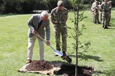 Regina Elisabetta, Carlo: Piantate alberi per i 70 anni del regno