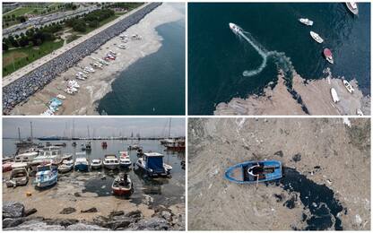 Turchia, mar di Marmara invaso dalla mucillagine: avviata la pulizia