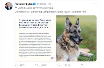 Usa, Biden annuncia la morte dell'amato cane Champ: 'Mi mancherà'