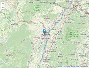 Francia, sisma magnitudo 4.4 a Strasburgo, causato da test geotermici