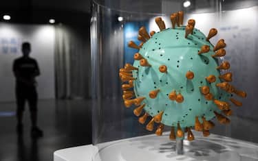 WUHAN, CHINA - JULY 18: (CHINA OUT) The COVID-19 virus model on display at the "Enlightenment Of COVID-19" science exhibition on July 18, 2021 in Wuhan, Hubei Province, China.  The exhibition aims to explain the unique life form of the coronavirus and the thinking behind China's fight against the epidemic, as well as exploring ways to achieve a long-term coexistence with virus. With no recorded cases of COVID-19 community transmissions since May 2020, life for residents in Wuhan is gradually returning to normal. (Photo by Getty Images)