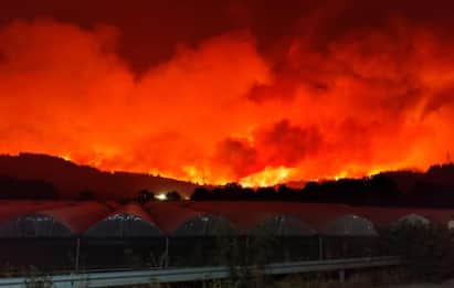 Incendi in Grecia, terzo giorno di roghi ad Atene, Rodi e Corinto 