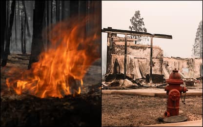 California, l’incendio Dixie Fire brucia oltre 180mila ettari. FOTO