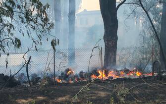 Violent incendie dans le Var, Des milliers de personnes Ã©vacuÃ©es cette nuit alors que 750 sapeurs-pompiers sont engagÃ©s dans la lutte contre les flammes. Le feu de forÃªt, qui s&#x92;est dÃ©clarÃ© peu avant 18 heures, lundi 16 aoÃ»t, Ã  Gonfaron (Var), a dÃ©jÃ  brÃ»lÃ© 4 000 hectares, selon le dernier point de situation de la prÃ©fecture envoyÃ© dans la nuit. A 2 heures, le feu se trouvait sur la ligne de crÃªte de Cavalaire et se dirigeait vers Cavalaire et La Croix-Valmer. Le camping Charlemagne, Ã  Grimaud, a entiÃ¨rement brÃ»lÃ© - Monster forest fire in the Var (south of France). The fire, which started from the Les Sigues rest area on the motorway near the town of Gonfaron on Monday afternoon, arrived in the evening in the Gulf of Saint-Tropez where it continued its terrible advance, stoked by strong winds. He covered 4,000 hectares. Throughout the night, evacuations continued to bring residents and vacationers in the most threatened areas to safety. In Grimaud, a hotel and a campsite were completely destroyed by the flames. Several people were injured while trying to escape the fire which approached very close to the village