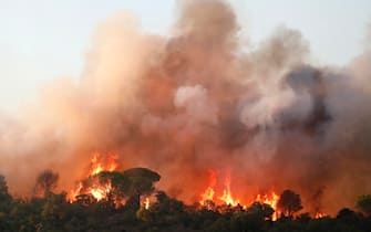 epa09418270 Blazes are raging during a forest fire around Cannet des Maures, France, 17 August 2021. Firefighters are battling wildfires and thousands of residents are evacuated in the area near St. Tropez.  EPA/GUILLAUME HORCAJUELO