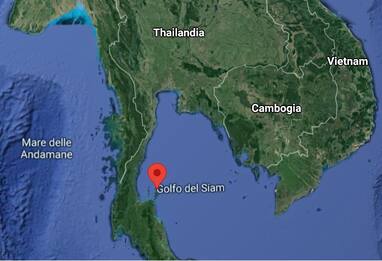 Thailandia, bambino morto dopo il contatto con una medusa velenosa