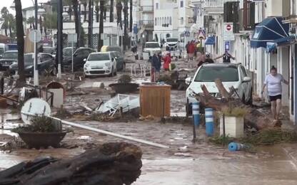 Violente inondazioni in Spagna, auto e alberi travolti. VIDEO