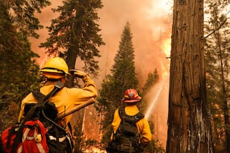 A firefighter attempts to control an active fire off Highway 50 during the Caldor Fire in Meyers, California, U.S., on Tuesday, Aug. 31, 2021. California's Caldor Fire moved closer to a popular alpine tourist destination in Northern California on Monday, prompting officials to order the evacuation of the resort town of South Lake Tahoe. Photographer: David Odisho/Bloomberg via Getty Images