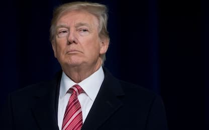 Usa, Trump fa causa a sua nipote e al New York Times