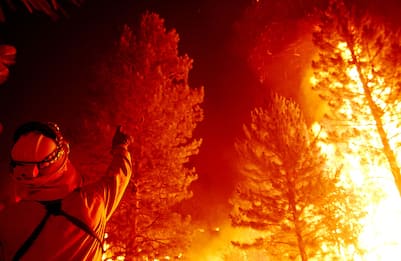 I giganti che bruciano, centinaia di sequoie distrutte in California