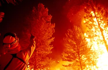 KERNVILLE, CA - JULY 24:  A firefighter points to a squirrel in a burning tree after a backfire is set in an attempt to protect the evacuated community of Johnsondale July 23, 2002 in the Sequoia National Forest north of Kernville, California. The McNally wildfire has grown to more than 50,000 acres and is threatening to spread to thousand-year-old giant sequoia trees, among the world's biggest. Some of the ancient trees that officials are concerned about are those in the area of the Trail of the 100 Giants. Although sequoia trees use fire to reproduce, a fire that is too hot could harm them. (Photo by David McNew/Getty Images)