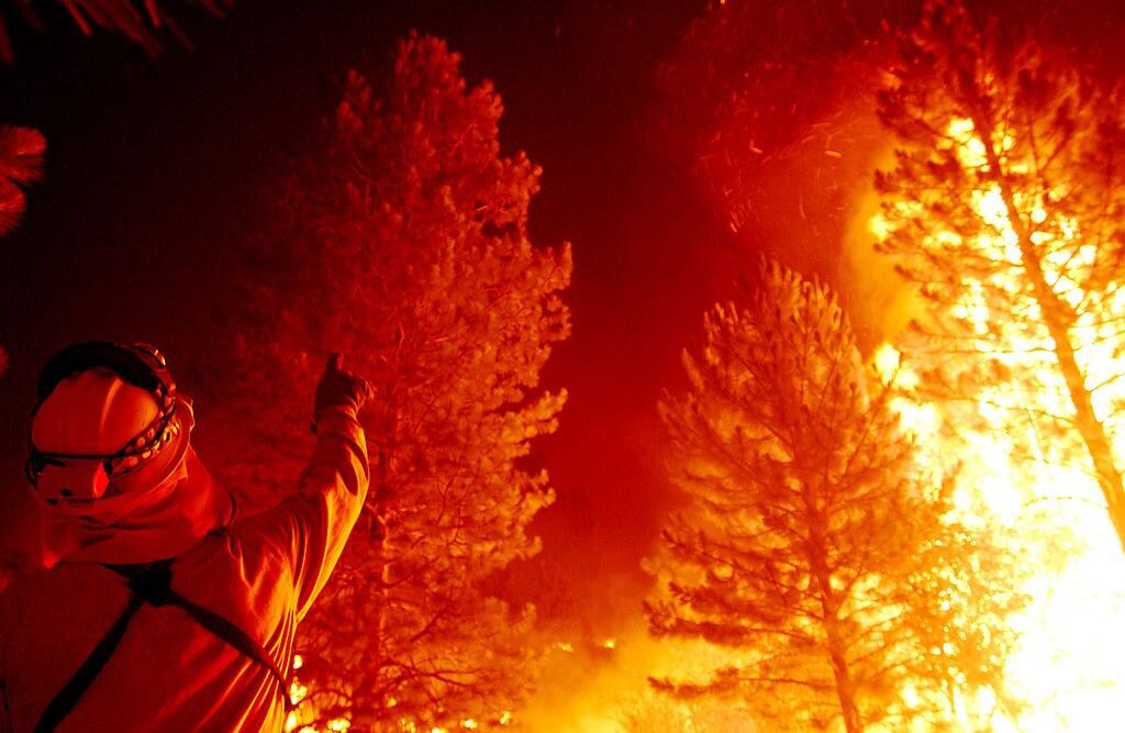 Sequoie in fiamme
