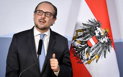 Austria, chi è il nuovo cancelliere Alexander Schallenberg