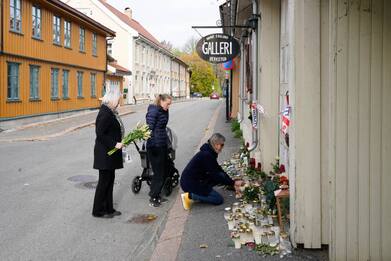 Strage in Norvegia, killer ha ucciso con un coltello e non con l'arco