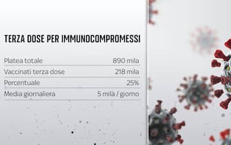 Grafica su platea immunocompressi coinvolti in terza dose vaccino Covid in Italia
