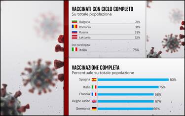 collage_grafiche_vaccini