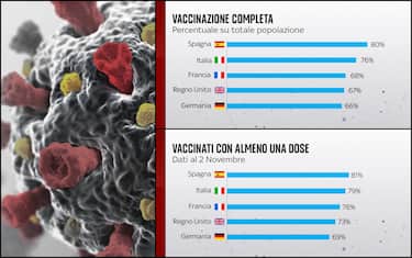 grafiche_vaccini