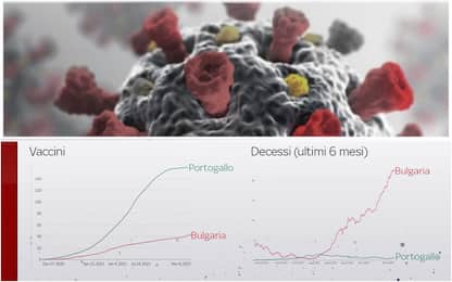 Portogallo-Bulgaria, il confronto tra chi vaccina di più e chi di meno