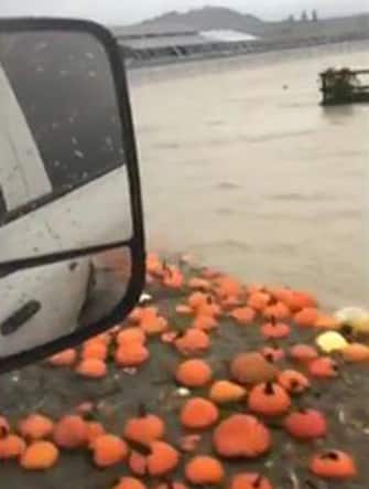 Frame da video AFP su sito ANSA - Maltempo in Canada, inondazioni e frane in British Columbia
Un elicottero salva un gruppo di automobilisti bloccati sulla strada tra Hope e Agassiz