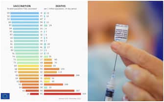 grafico con confronto tra morti e vaccinati