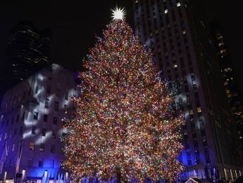 Natale a New York, si accende l'albero del Rockfeller Center. VIDEO