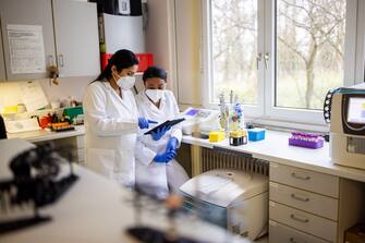 Two scientists having a discussion while using a digital tablet in a laboratory. Two female researchers working together on medicine development in a laboratory.