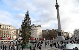 London also has its own “spelacchio”: ironies on the Christmas tree in Trafalgar Square.  PHOTO