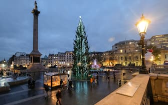 LONDON, UNITED KINGDOM - DECEMBER 03, 2021 - The Trafalgar Square Christmas Tree and Christmas crib by Tomoako Suzuki.  (Photo credit should read Matthew Chattle / Future Publishing via Getty Images)