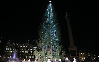 LONDON, UNITED KINGDOM - DECEMBER 02: A christmas tree brought from Norway, is illuminated during a ceremony at Trafalgar Square in London, United Kingdom on December 02, 2021. (Photo by Hasan Esen / Anadolu Agency via Getty Images)