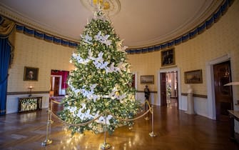 A White House Military social aide looks on near the official White House Christmas tree in the Blue room during a press preview of the White House holiday decorations in Washington, DC on November 29, 2021. (Photo by ANDREW CABALLERO-REYNOLDS / AFP) (Photo by ANDREW CABALLERO-REYNOLDS/AFP via Getty Images)